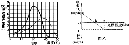 作业帮