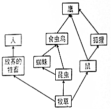 作业帮