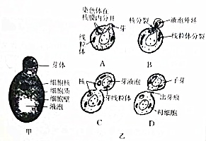 作业帮