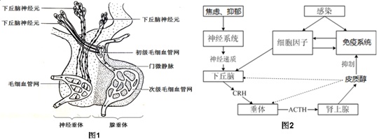 作业帮