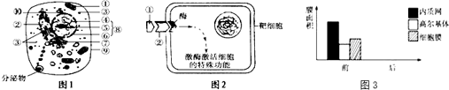 作业帮