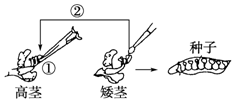 作业帮