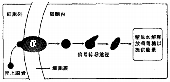 作业帮