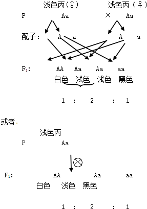 作业帮