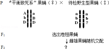 作业帮