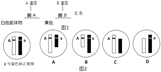 作业帮