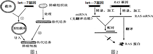 作业帮