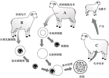 作业帮