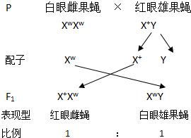 作业帮