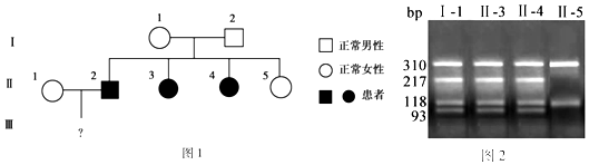 作业帮