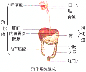 作业帮