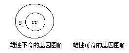 (2)画出雄性不育系和雄性不育恢复系的杂交图解.