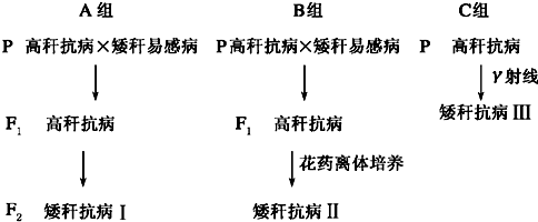 作业帮