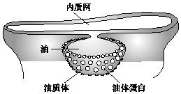 作业帮