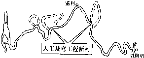 作业帮