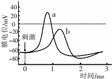 作业帮