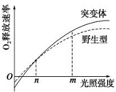 作业帮