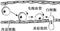 作业帮