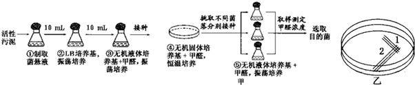 作业帮