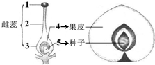 作业帮