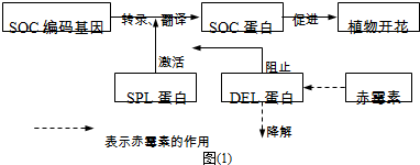 作业帮