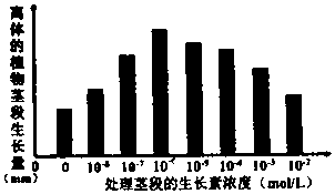 作业帮