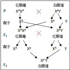 作业帮