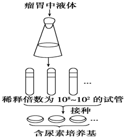 作业帮