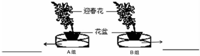 作业帮