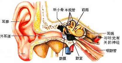 作业帮