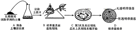 作业帮