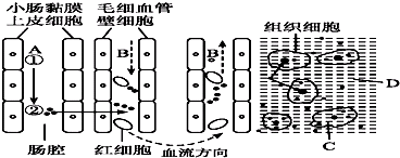 作业帮