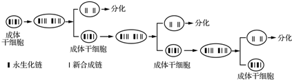 作业帮