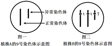 作业帮