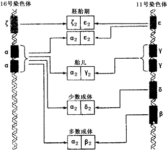 作业帮