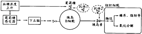 作业帮