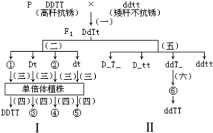 作业帮