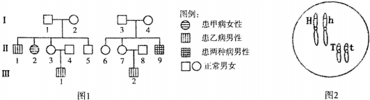 作业帮