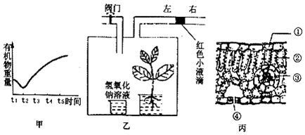 作业帮