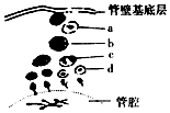 作业帮