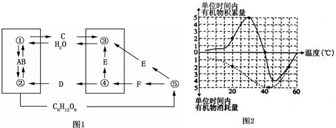 作业帮