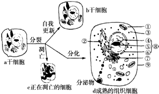 作业帮