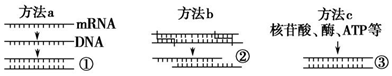 作业帮