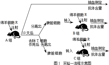 作业帮