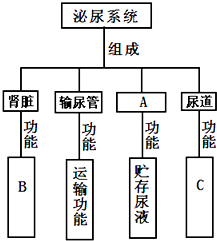 作业帮