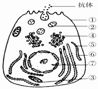 作业帮