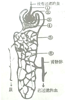 作业帮