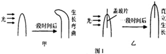 作业帮