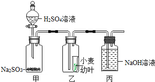 作业帮