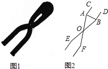 作业帮